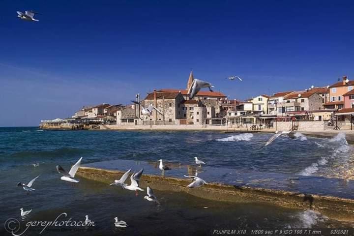 Apartment Ante Umag Exteriér fotografie